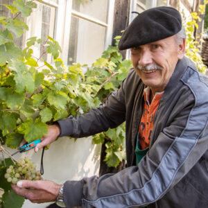 Weinbauer Walter Treis im Weinberg
