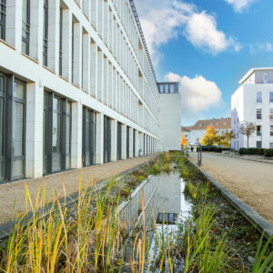 Neubau mit Grünanlage Braunschweig – Architekturaufnahme