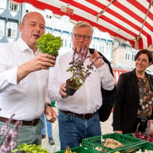 Wahlkampf Wolfenbüttel – Holger Bormann mit Niedersachsens Wirtschaftsminister Bernd Althusmann auf dem Wochenmarkt