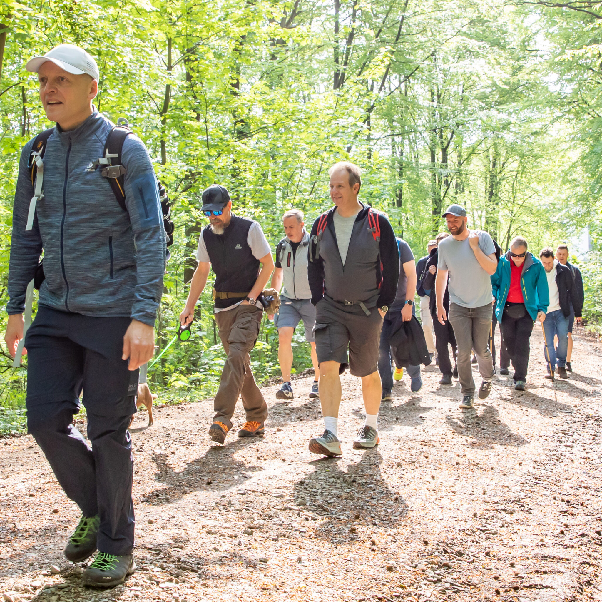 Business-Wanderung – Netzwerken und Austausch im Freien